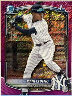 Mani Cedeno