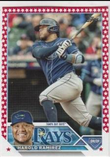 Tampa Bay Rays