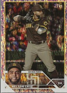Nelson Cruz