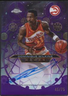 Dominique Wilkins