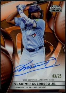 Vladimir Guerrero Jr.