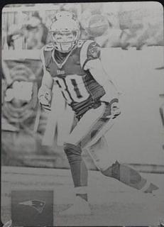 Danny Amendola