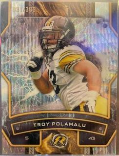 Troy Polamalu