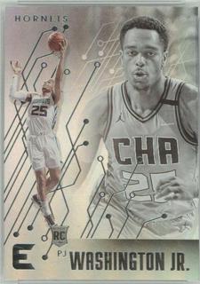 PJ Washington Jr.