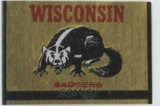 Wisconsin Badgers