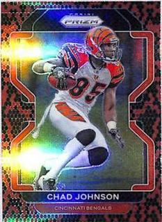 Chad Johnson
