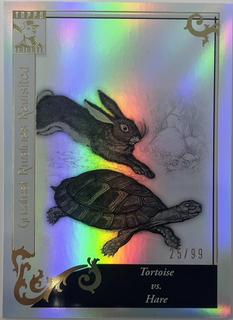 Tortoise vs. The Hare