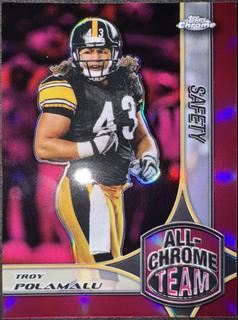 Troy Polamalu