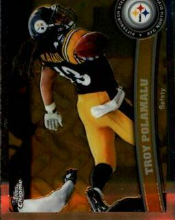 Troy Polamalu