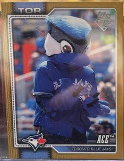 ACE Toronto Blue Jays