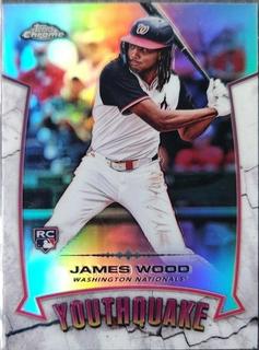 James Wood