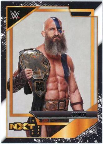 Ciampa #22 Wrestling Cards 2022 Panini NXT WWE NXT Gold
