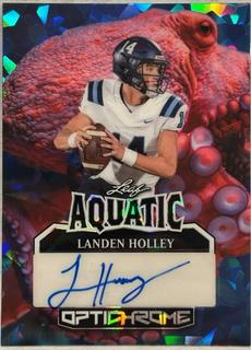 Landen Holley