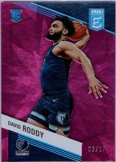 David Roddy