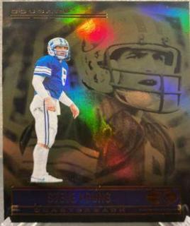 Steve Young