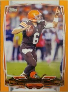 Brian Hoyer