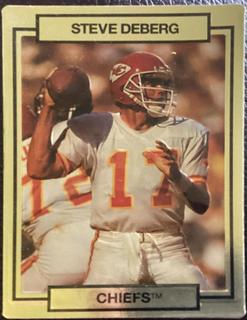 Steve DeBerg