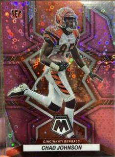 Chad Johnson
