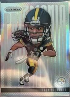 Troy Polamalu