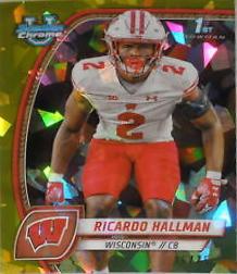 Ricardo Hallman