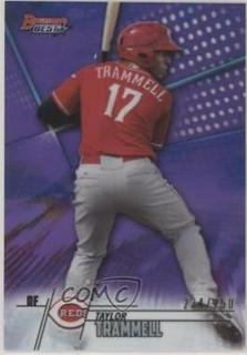 Taylor Trammell