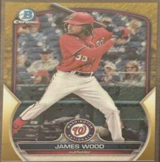 James Wood