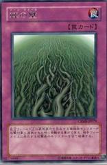 Wall of Thorns #CRMS-JP079