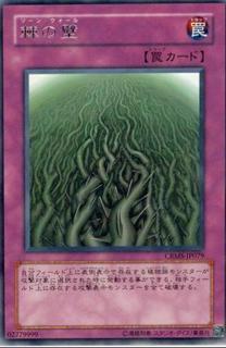 Wall of Thorns CRMS-JP079