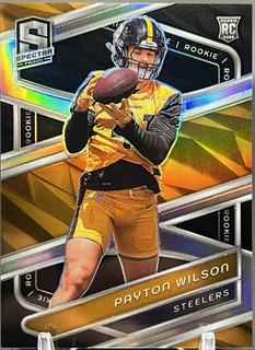 Payton Wilson