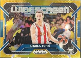 Nikola Topic