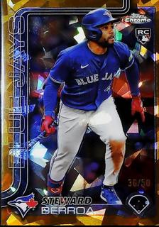 Steward Berroa