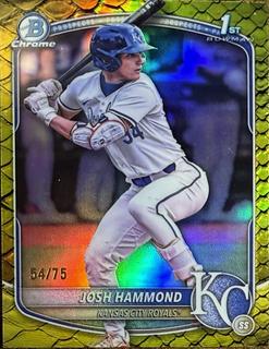 Josh Hammond