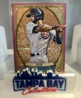 David Bote