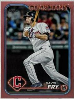 David Fry