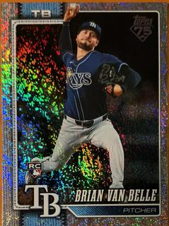 Brian Van Belle
