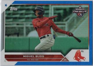 Miguel Bleis