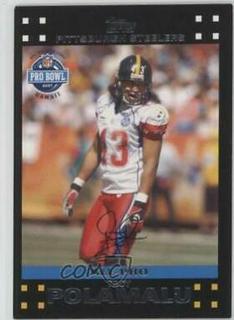 Troy Polamalu
