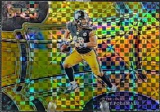 Troy Polamalu