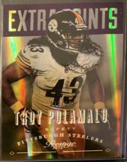 Troy Polamalu