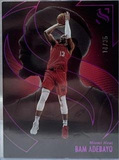 Bam Adebayo