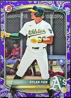 Dylan Fien