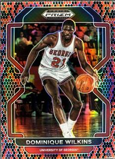 Dominique Wilkins