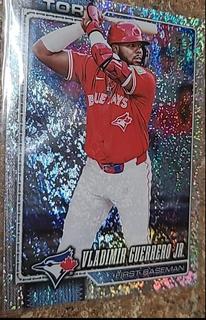 Vladimir Guerrero Jr.