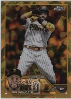 Nelson Cruz