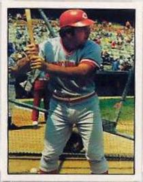 Johnny Bench #31 Baseball Cards 1975 SSPC