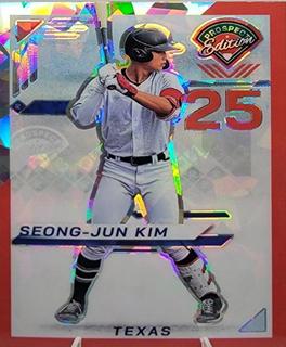 Seong-Jun Kim