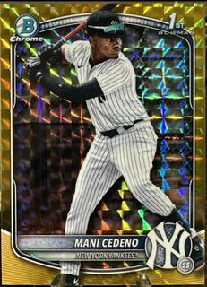Mani Cedeno