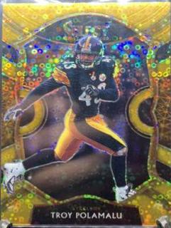 Troy Polamalu