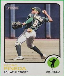 Pedro Pineda