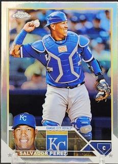 Salvador Perez